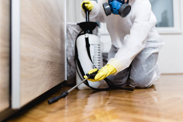 Best Mosquito Control Services  in Palo, IA