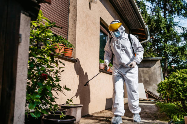 Best Commercial Pest Control Services  in Palo, IA