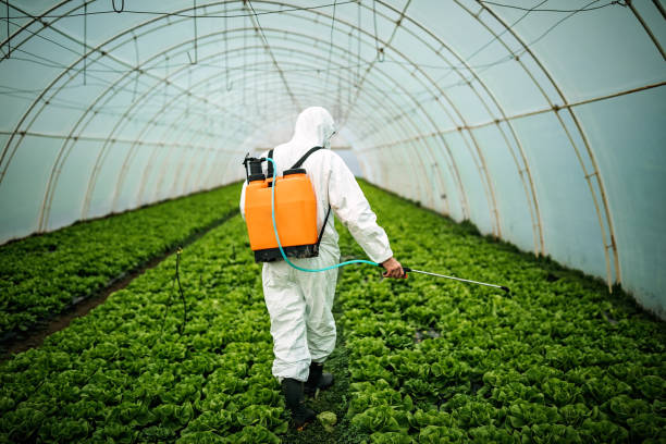 Best Affordable Pest Control Services  in Palo, IA