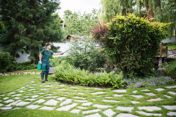 Trusted Palo, IA Pest Control Experts