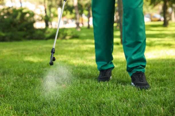 Best Rat Extermination Near Me  in Palo, IA