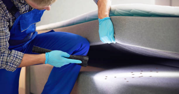  Palo, IA Pest Control Pros
