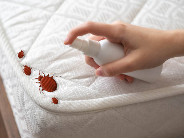 Best Best Pest Control Companies  in Palo, IA