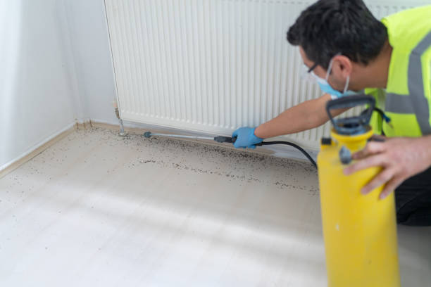 Best Pest Inspection Near Me  in Palo, IA