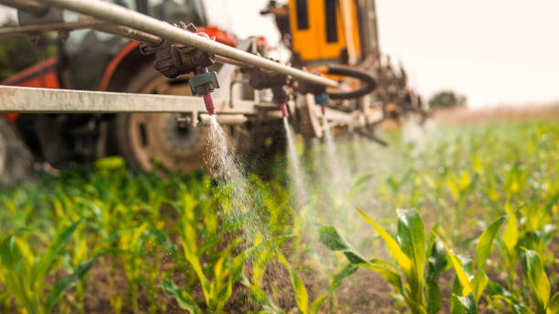 Best Wildlife Control Services  in Palo, IA