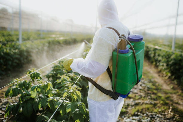 Best Exterminator Services  in Palo, IA